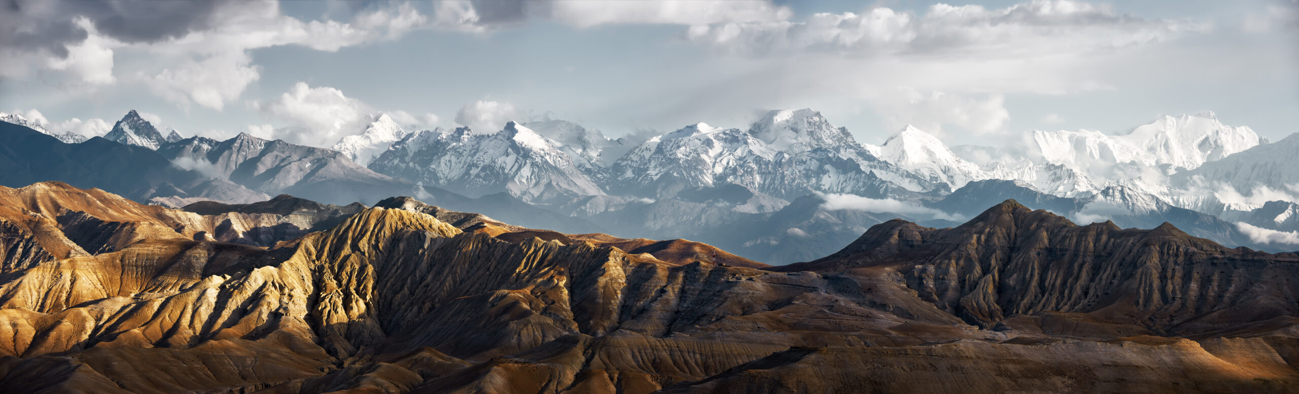 shutterstock 1185874780 scaled