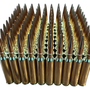 300 prc amo custom built by precise arms It can be delivered all over the US