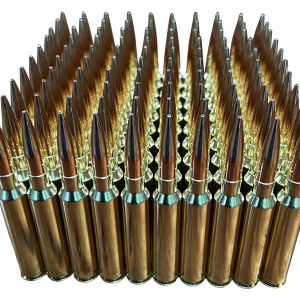 custom ammunition