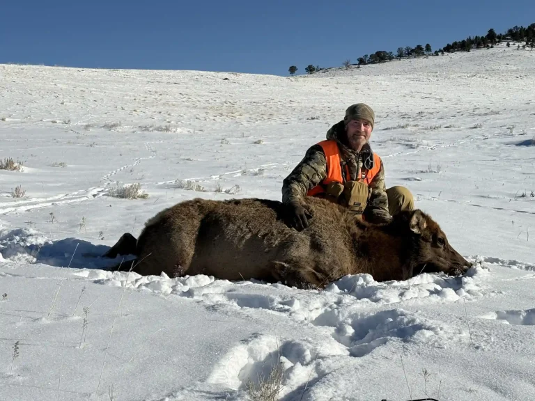 Elk Hunting in Central Montana