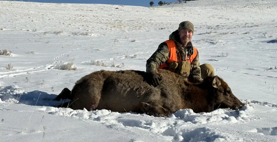 Elk Hunting in Central Montana