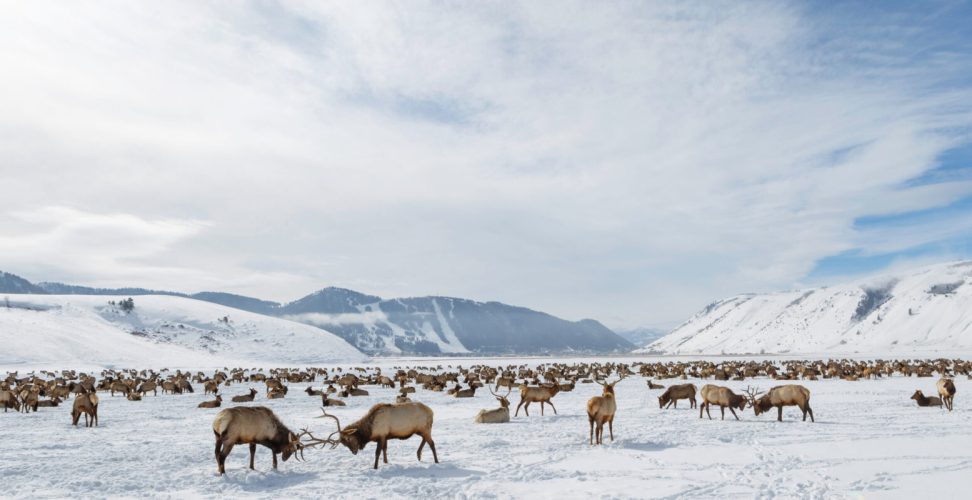 shutterstock 1963735894 scaled e1720060645148